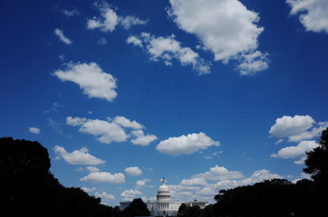 WASHINGTON WITH BLUE