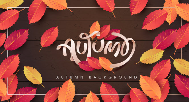 Autumn calligraphy. Seasonal lettering.vector illustration