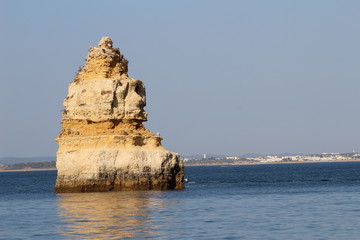 Sea Rock Landscape