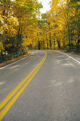Highway at Autumn Sunny Day. Center Line of the Road, Road in Rural Areas, Road in Forest