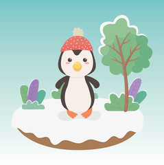 cute and little penguin in the field