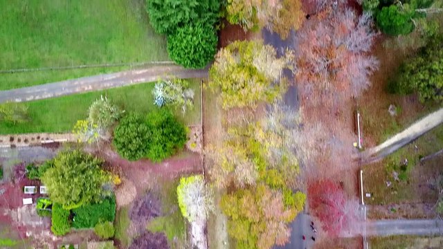 Aerial footage along autumn trees in Honour Avenue in Macedon, central Victoria, Australia