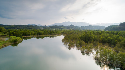 Fototapeta na wymiar Aerial photo of the floating forest of Chinese fir in fangtang wetland, ningguo city, anhui province, China