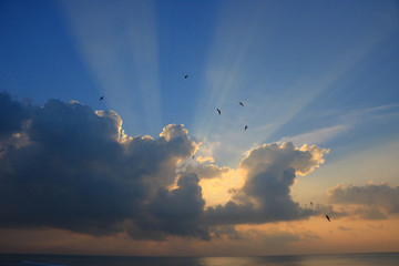 beautiful sunrise on the sea