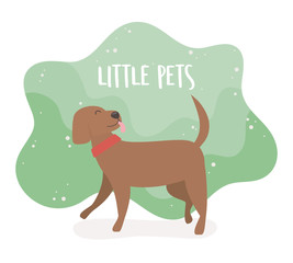 cute little dog mascot character