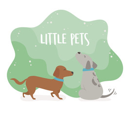 cute little dogs mascots characters