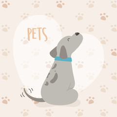 dog mascot character with heart and paw prints background