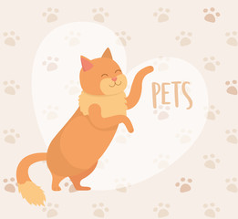 cute little cat mascot with pawprints background