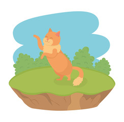 cute little cat mascot in the field character