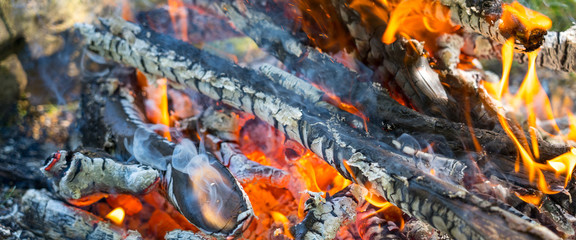 burning firewood and smoke, panoramic closeup shot