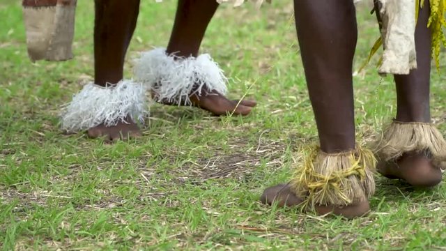 Close up legs and feet of male sing-sing dancers, Papua New Guinea