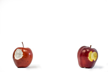 One isolated fake red apple and real apple with a bite taken out of it on a white background.
