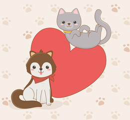 cute little dog and cat mascots with heart love