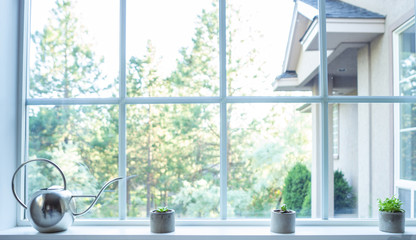 Bright light coming in window with succulent pdlants and watering can in the window © michaeldasso