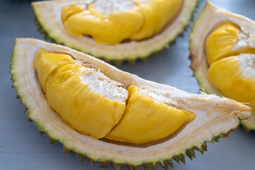 Malaysia famous fruits durian musang king