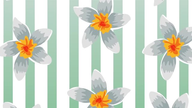 exotic flowers tropical pattern animation