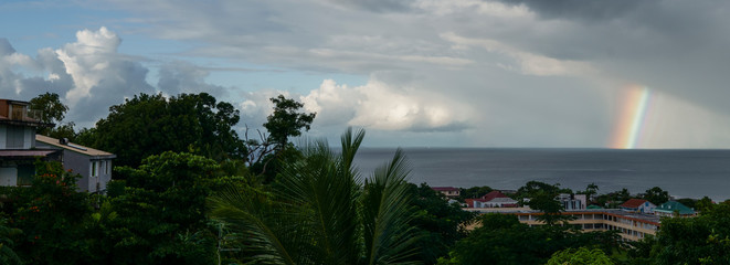 la maison, la ville et les arbres.