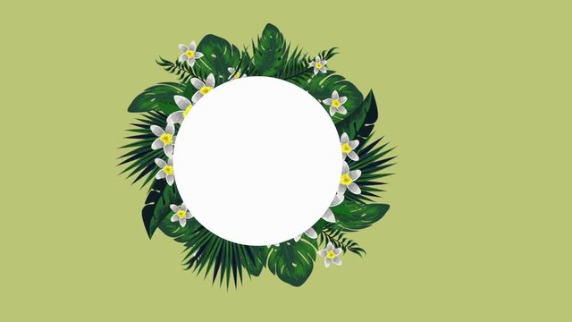 circular frame with exotic leafs palms