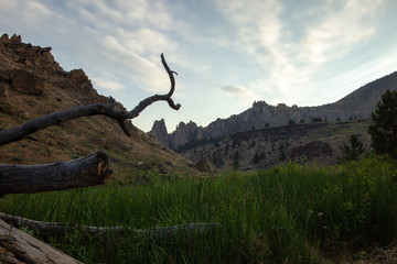 Fototapeta premium Beautiful field of grass with fallen log in foreground and cliffs in background. Smith Rock State Park, Oregon, USA.