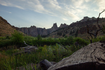 Shortly after sunrise at Smith Rock National Park in Oregon USA. View of cliffs and field of grass and fallen logs
