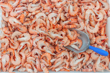 Pink fresh frozen shrimps with ice and filling scoop in a supermarket or fish shop. Uncooked seafood close up background. Fresh frozen prawns, delicacies, sea food concept,