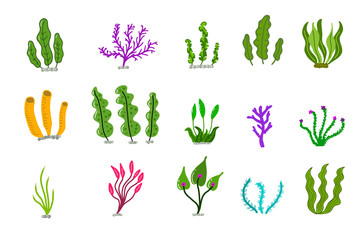 Aquarium ocean corals