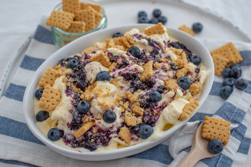 home made vanilla cheesecake ice cream with blueberries and cookies on a old table