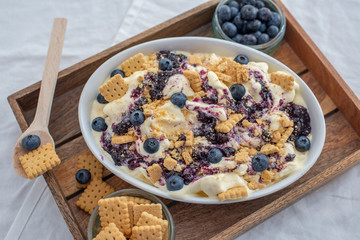 home made vanilla cheesecake ice cream with blueberries and cookies on a old table