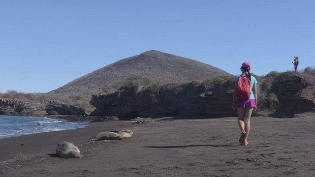 Galapagos cruise ship tourist walking on beach with animals, sea lions on Santiago island, Galapagos Islands, Ecuador.