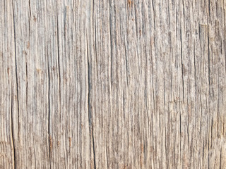 Old cracked werathered wood. Wood texture background