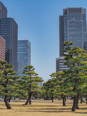 Fototapeta na wymiar Tokyo city center