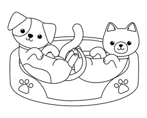 Isolated cat and dog cartoon design