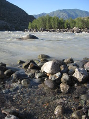 Fototapeta na wymiar a spring on the Bank of the Katun river in the Altai