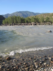 the coast of the Katun river near the confluence with the Big Yaloman river