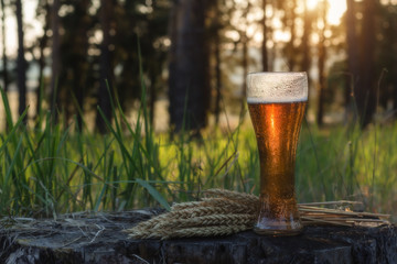 Glass of cold beer at sunset. Summer landscape. Recreation and relax. Fresh brewed ale.