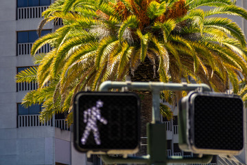White - green, allowing traffic signal for pedestrians in the United States, against the backdrop...