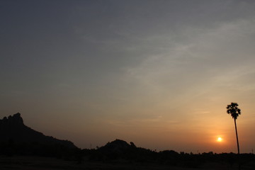 Indian sunset with tree evening