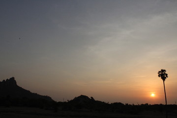 Indian sunset with tree evening