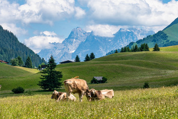 Fototapeta na wymiar Little village Rinnen near Imst in Tirol Austria, Europe