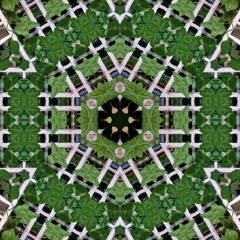 kaleidoscope background design in the shape of flowers