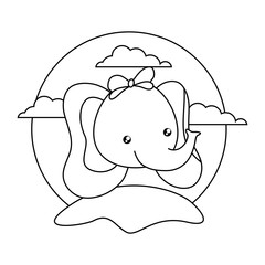 head of cute little elephant baby in landscape