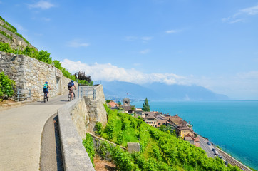 Cyclist on scenic path along green terraced vineyards on the slopes adjacent to Geneva Lake, Switzerland. Lavaux wine region. Switzerland in summer. Swiss landscape. Cycling. Sport tourism