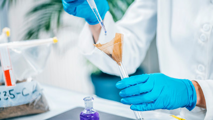 Fototapeta premium Soil Testing. Laboratory Analysis