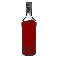 Wine bottle, glass. Vector in doodle and sketch style.