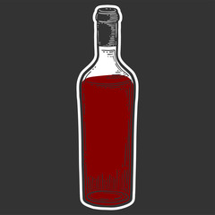 Wine bottle, glass. Vector in doodle and sketch style.