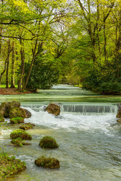 Spring At The English Garden In Munich