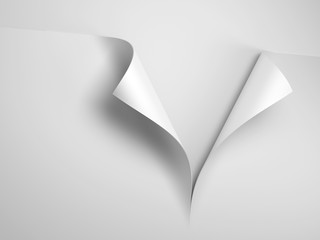 white sheet of paper with corner curl