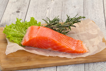 Piece of raw salmon