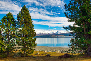 Mountain and tree views at the Lake Pukaki viewing point in New Zealand.