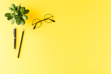 Elegant pens, eyeglasses and green plant on yellow desktop. Business background